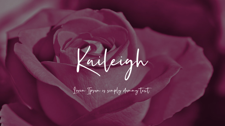 Kaileigh Font Family