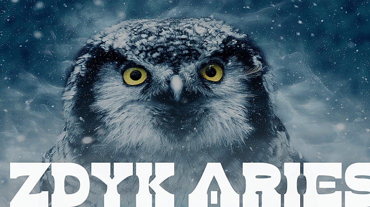 Zdyk Aries Font