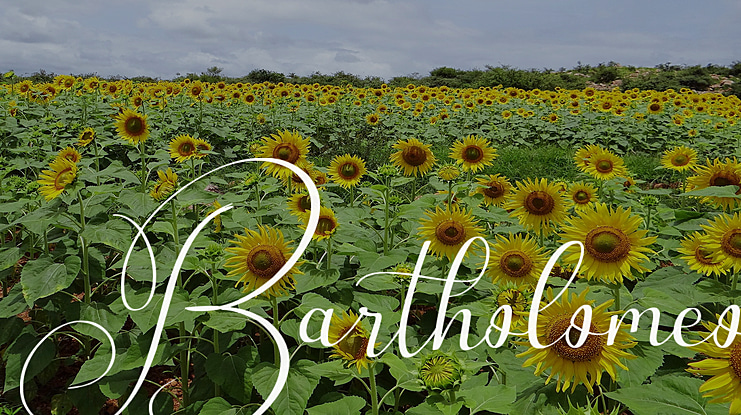 Bartholomeo Font