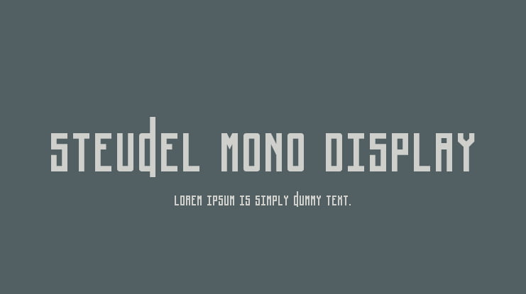 Steudel Mono Display Font