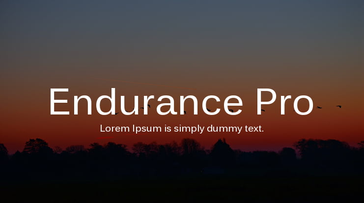 Endurance Pro Font Family