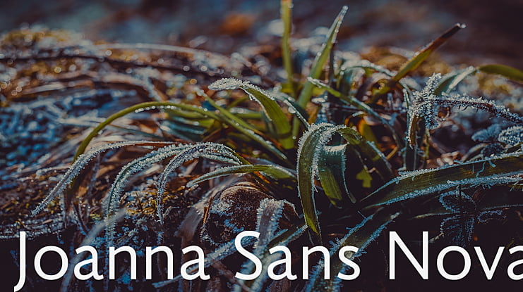 Joanna Sans Nova Font Family