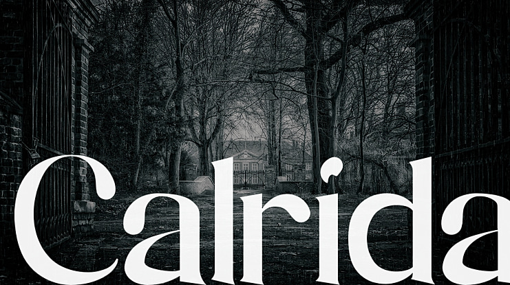 Calrida Font