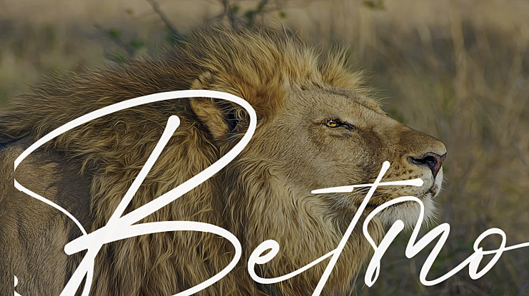 Betmo Font