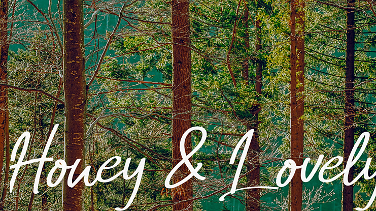 Honey & Lovely Font