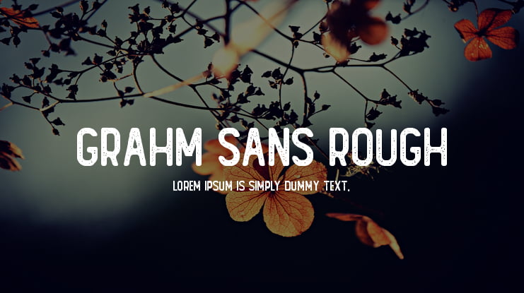 GRAHM Sans Rough Font