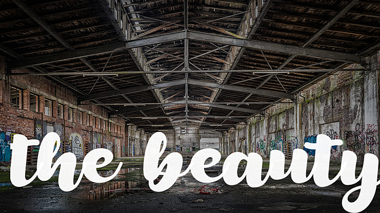 the beauty Font