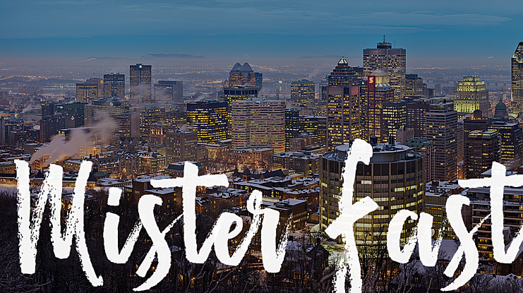 Mister Fast Font