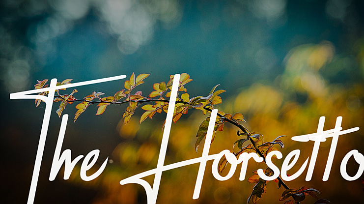 The Horsetto Font