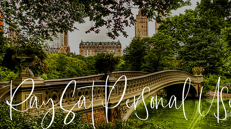 RaySat Personal Use Font