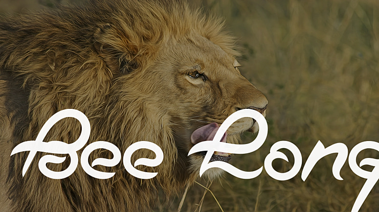 Bee Long Font