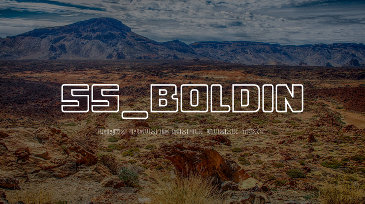 ss_boldin Font Family