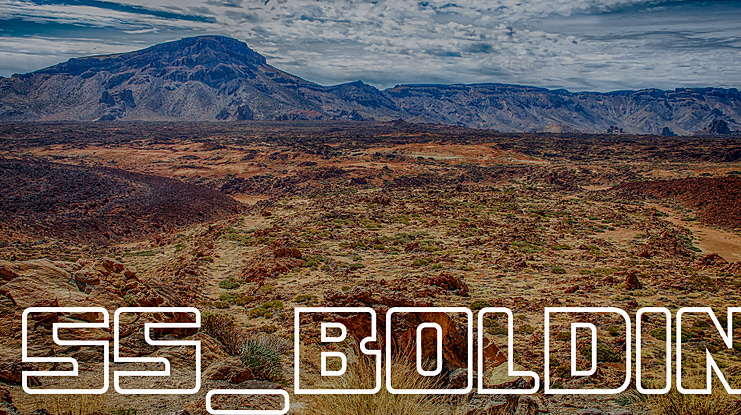 ss_boldin Font Family