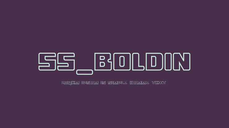 ss_boldin Font Family