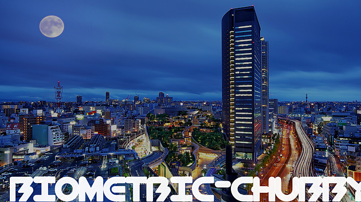 BioMetric-Chubby Font Family