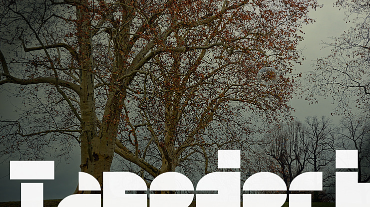 Tapedeck Font Family