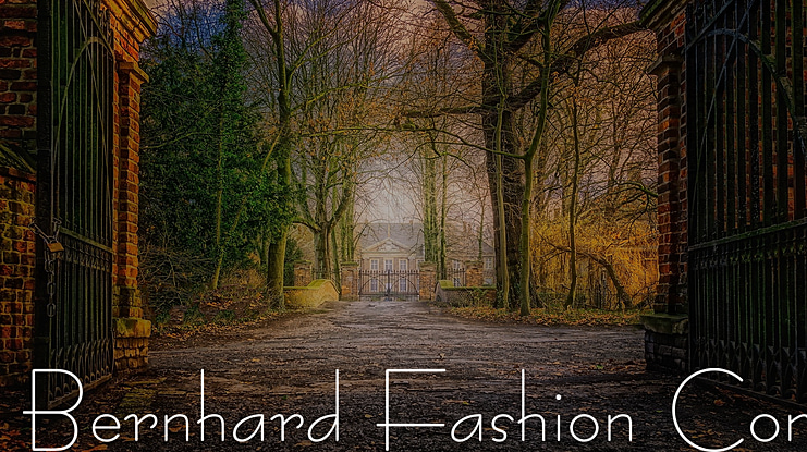 Bernhard Fashion Com Font