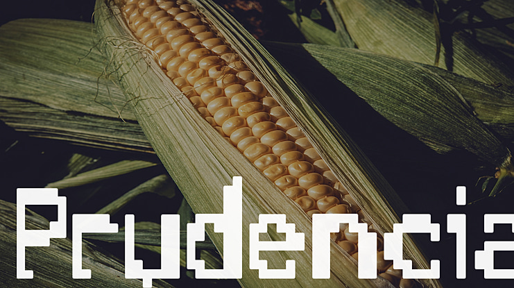 Prudencia Font