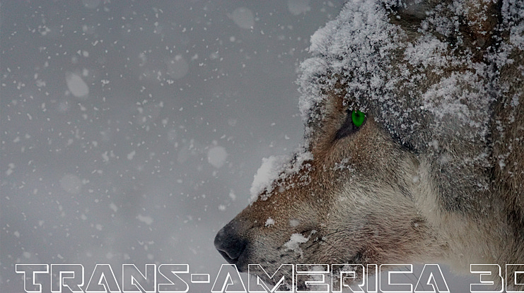 Trans-America 3D Font Family