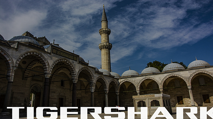 Tigershark Font Family