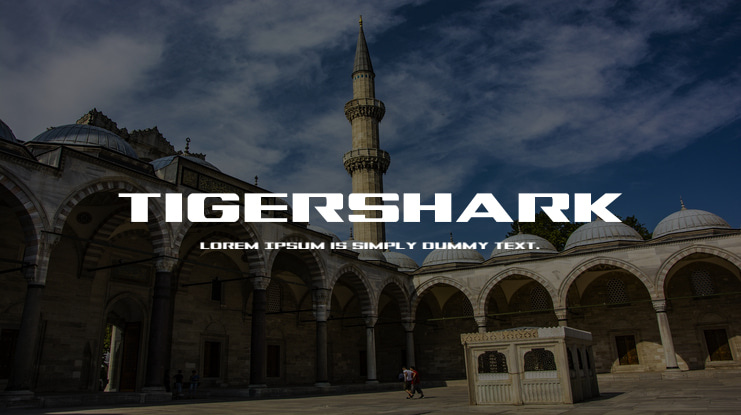 Tigershark Font Family