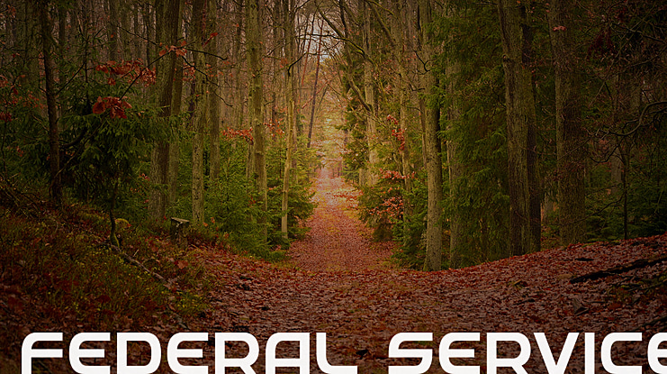 Federal Service Font Family