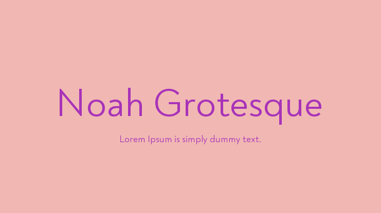 Noah Grotesque Font Family