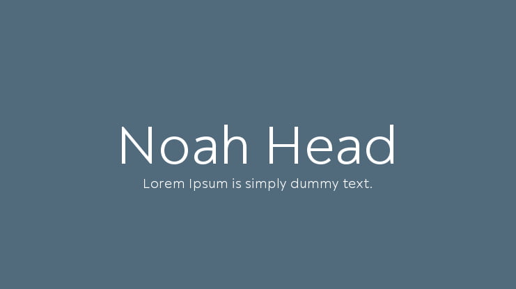 Noah Head Font Family