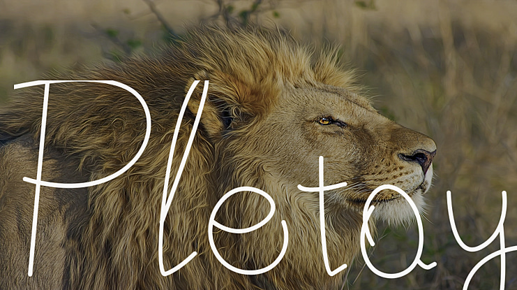 Pletoy Font
