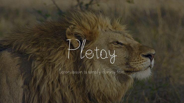 Pletoy Font