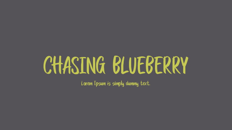 CHASING BLUEBERRY Font
