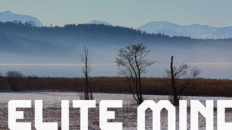 ELITE MIND Font Family