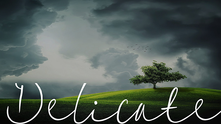 Delicate1 Font