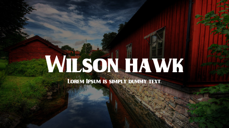 Wilson hawk Font Family
