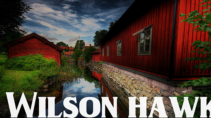 Wilson hawk Font Family