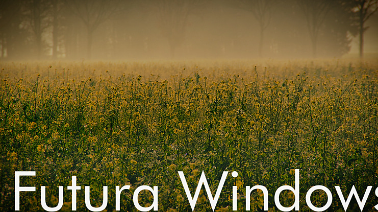 Futura Windows Font Family