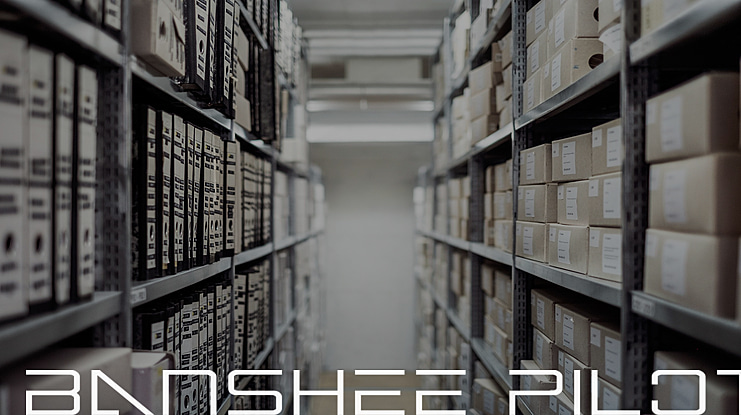 Banshee Pilot Font Family