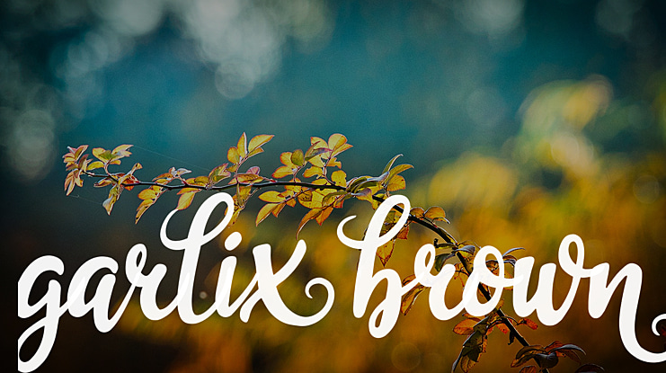 garliXbrowN Font
