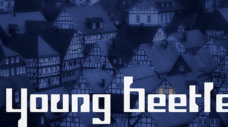 Young Beetle Font