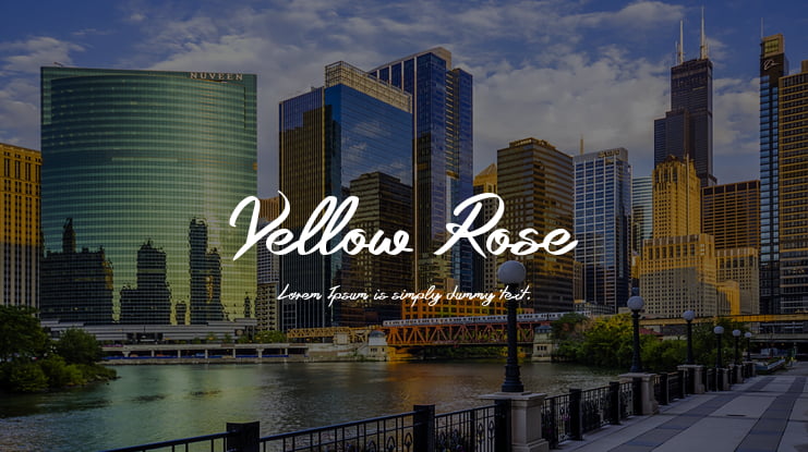 Yellow Rose Font