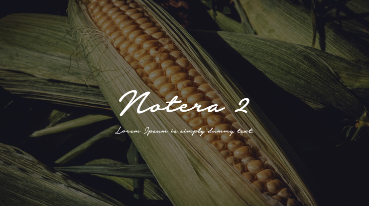 Notera 2 Font Family