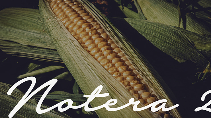Notera 2 Font Family