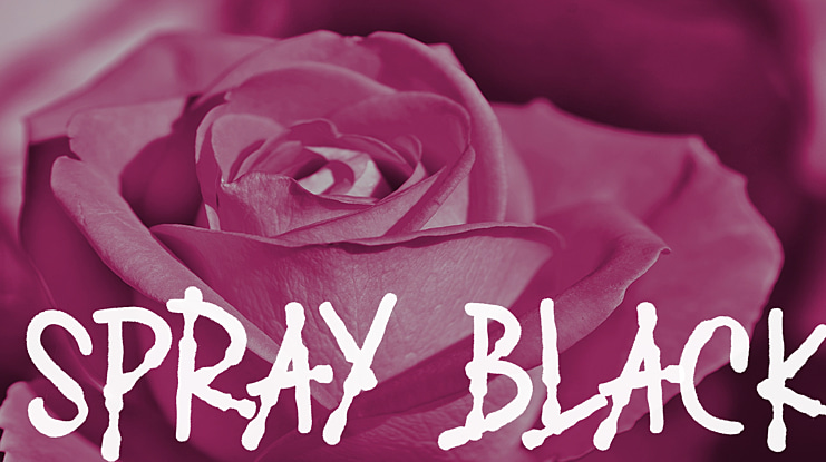 SPRAY BLACK Font
