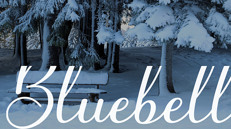 Bluebell Font