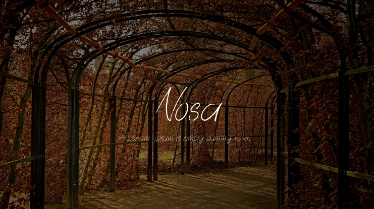 Nosa Font