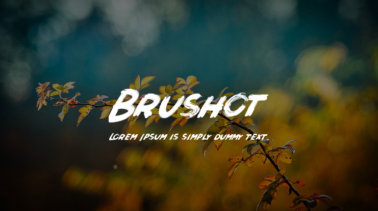 Brushot Font