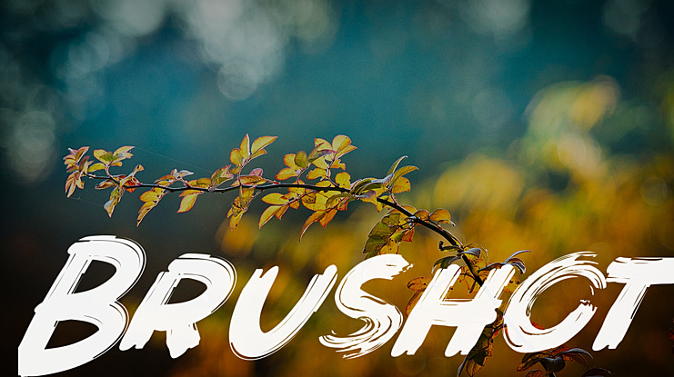 Brushot Font