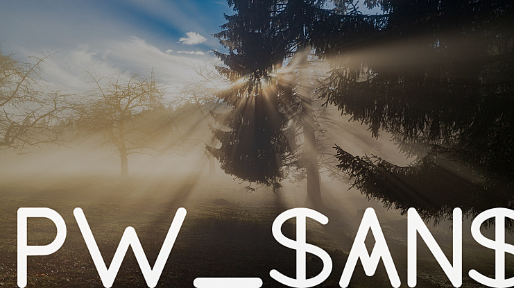 PW_Sans Font