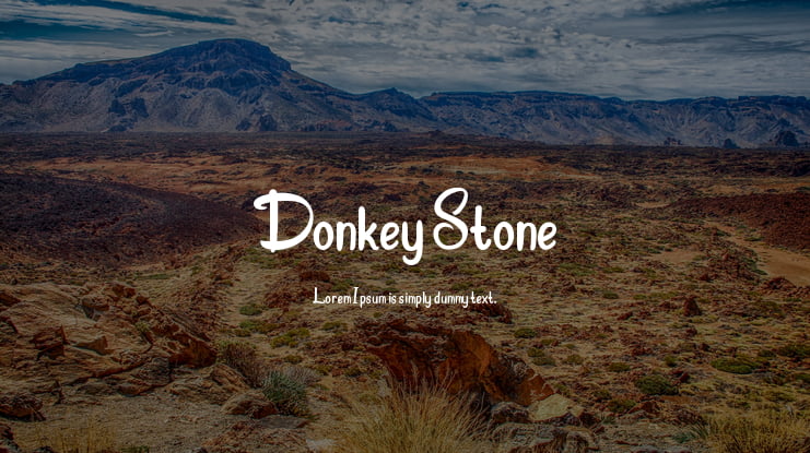 Donkey Stone Font