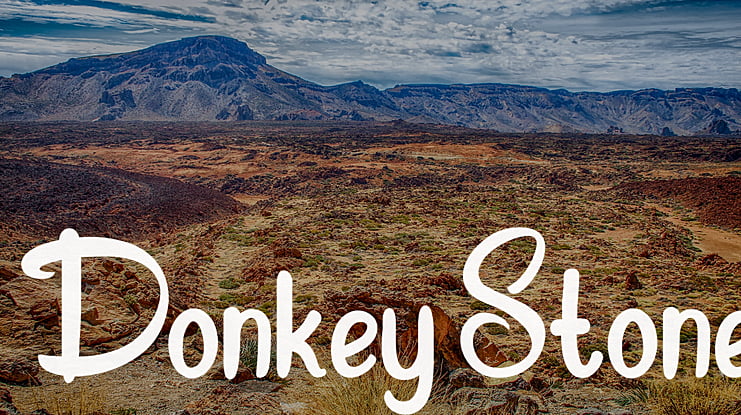 Donkey Stone Font